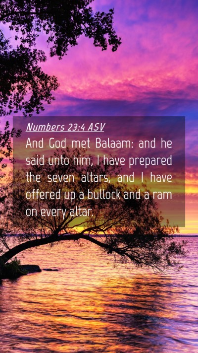 Picture 04 - Numbers 23:4 ASV Mobile Phone Wallpaper - And God met Balaam: and he said unto him, I have - Mobile Bible Verse Wallpaper