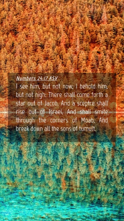 Picture 04 - Numbers 24:17 ASV Mobile Phone Wallpaper - I see him, but not now; I behold him, but not - Mobile Bible Verse Wallpaper