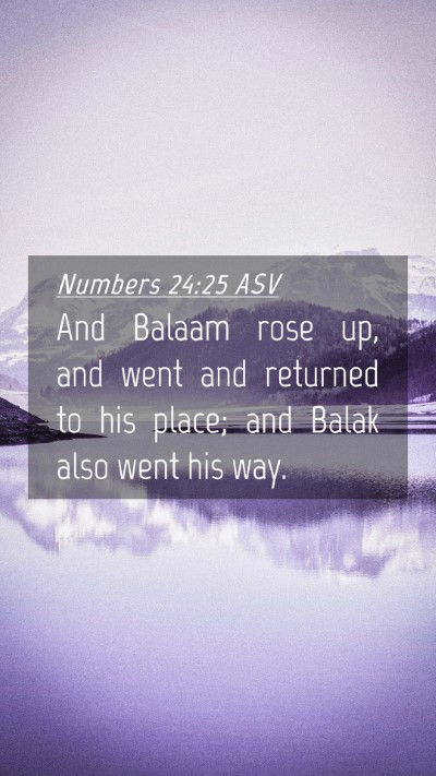 Picture 04 - Numbers 24:25 ASV Mobile Phone Wallpaper - And Balaam rose up, and went and returned to his - Mobile Bible Verse Wallpaper