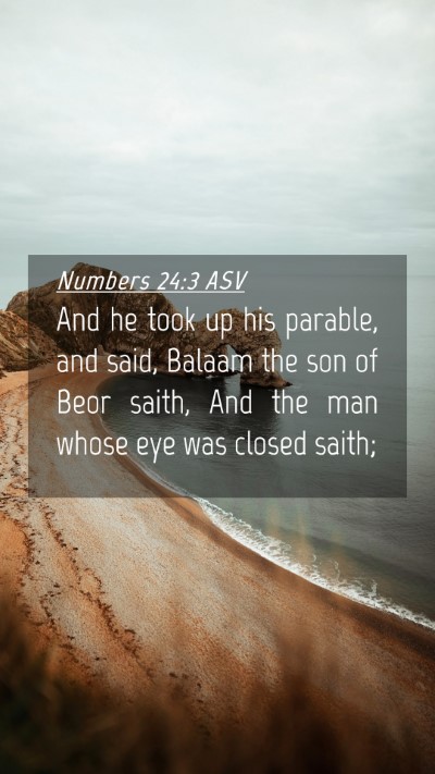 Picture 04 - Numbers 24:3 ASV Mobile Phone Wallpaper - And he took up his parable, and said, Balaam the - Mobile Bible Verse Wallpaper