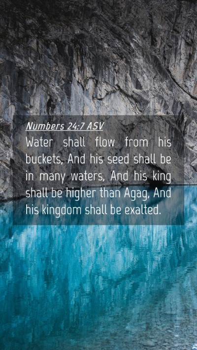 Picture 04 - Numbers 24:7 ASV Mobile Phone Wallpaper - Water shall flow from his buckets, And his seed - Mobile Bible Verse Wallpaper