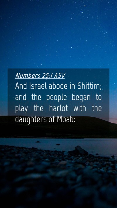 Picture 04 - Numbers 25:1 ASV Mobile Phone Wallpaper - And Israel abode in Shittim; and the people began - Mobile Bible Verse Wallpaper