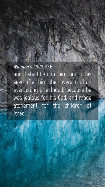 Picture 04 - Numbers 25:13 ASV Mobile Phone Wallpaper - and it shall be unto him, and to his seed after - Mobile Bible Verse Wallpaper