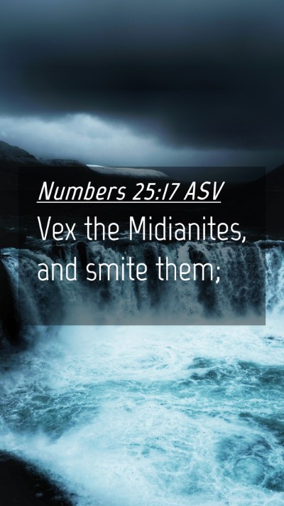 Picture 04 - Numbers 25:17 ASV Mobile Phone Wallpaper - Vex the Midianites, and smite - Mobile Bible Verse Wallpaper