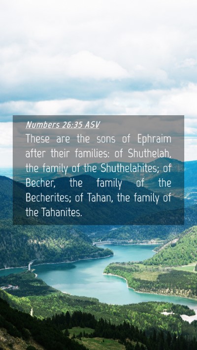 Picture 04 - Numbers 26:35 ASV Mobile Phone Wallpaper - These are the sons of Ephraim after their - Mobile Bible Verse Wallpaper