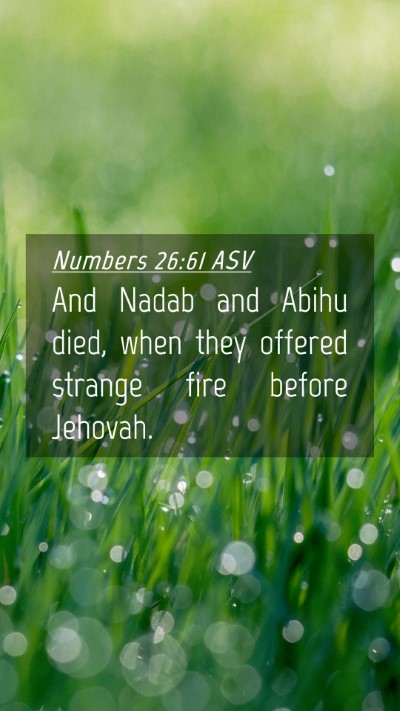 Picture 04 - Numbers 26:61 ASV Mobile Phone Wallpaper - And Nadab and Abihu died, when they offered - Mobile Bible Verse Wallpaper