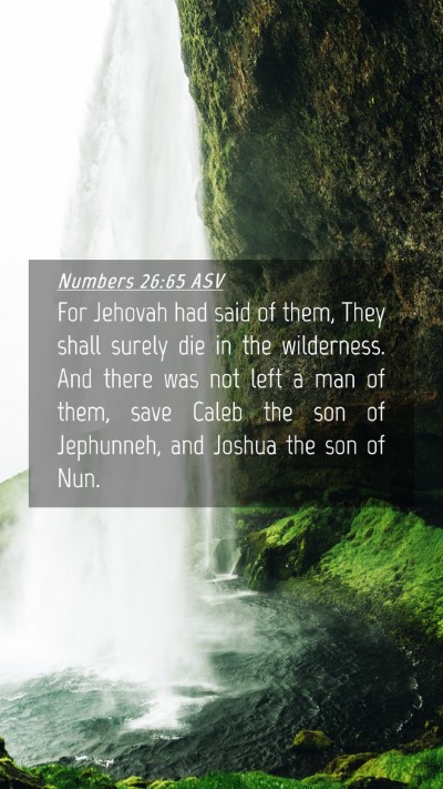 Picture 04 - Numbers 26:65 ASV Mobile Phone Wallpaper - For Jehovah had said of them, They shall surely - Mobile Bible Verse Wallpaper