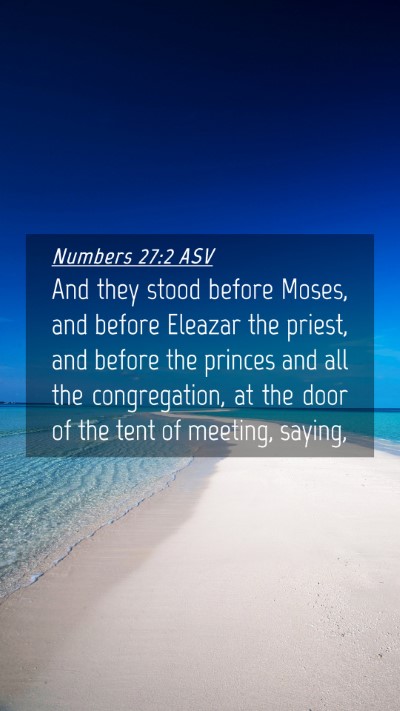 Picture 04 - Numbers 27:2 ASV Mobile Phone Wallpaper - And they stood before Moses, and before Eleazar - Mobile Bible Verse Wallpaper