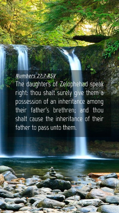Picture 04 - Numbers 27:7 ASV Mobile Phone Wallpaper - The daughters of Zelophehad speak right: thou - Mobile Bible Verse Wallpaper