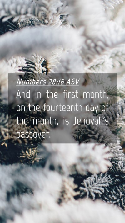Picture 04 - Numbers 28:16 ASV Mobile Phone Wallpaper - And in the first month, on the fourteenth day of - Mobile Bible Verse Wallpaper