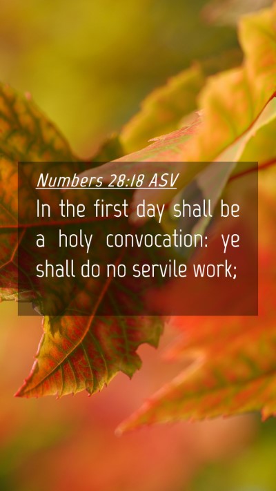 Picture 04 - Numbers 28:18 ASV Mobile Phone Wallpaper - In the first day shall be a holy convocation: ye - Mobile Bible Verse Wallpaper
