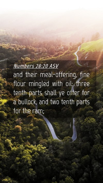 Picture 04 - Numbers 28:20 ASV Mobile Phone Wallpaper - and their meal-offering, fine flour mingled with - Mobile Bible Verse Wallpaper