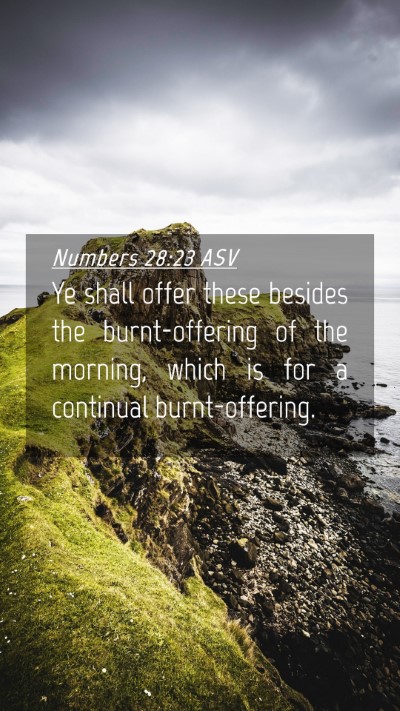 Picture 04 - Numbers 28:23 ASV Mobile Phone Wallpaper - Ye shall offer these besides the burnt-offering - Mobile Bible Verse Wallpaper