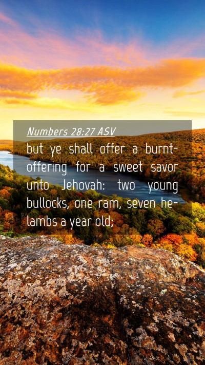 Picture 04 - Numbers 28:27 ASV Mobile Phone Wallpaper - but ye shall offer a burnt-offering for a sweet - Mobile Bible Verse Wallpaper