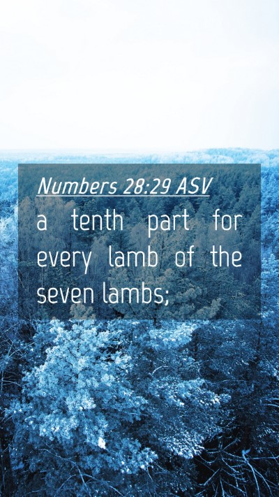 Picture 04 - Numbers 28:29 ASV Mobile Phone Wallpaper - a tenth part for every lamb of the seven - Mobile Bible Verse Wallpaper