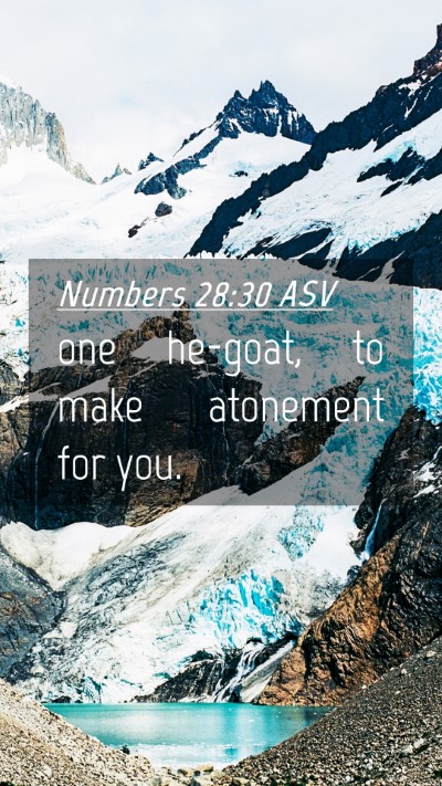 Picture 04 - Numbers 28:30 ASV Mobile Phone Wallpaper - one he-goat, to make atonement for - Mobile Bible Verse Wallpaper