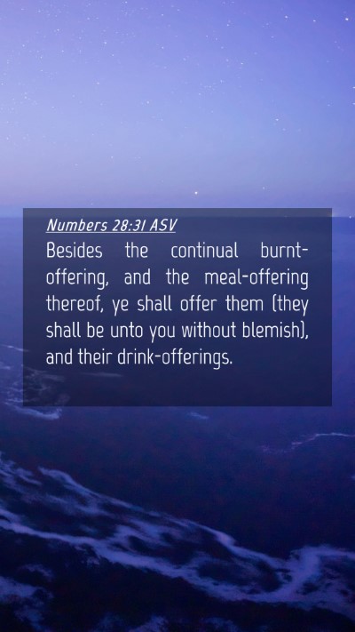 Picture 04 - Numbers 28:31 ASV Mobile Phone Wallpaper - Besides the continual burnt-offering, and the - Mobile Bible Verse Wallpaper