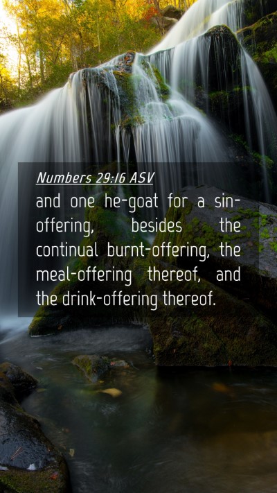 Picture 04 - Numbers 29:16 ASV Mobile Phone Wallpaper - and one he-goat for a sin-offering, besides the - Mobile Bible Verse Wallpaper
