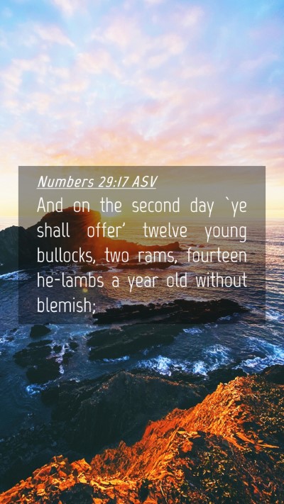 Picture 04 - Numbers 29:17 ASV Mobile Phone Wallpaper - And on the second day `ye shall offer' twelve - Mobile Bible Verse Wallpaper