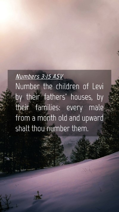Picture 04 - Numbers 3:15 ASV Mobile Phone Wallpaper - Number the children of Levi by their fathers' - Mobile Bible Verse Wallpaper
