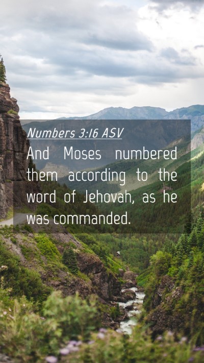 Picture 04 - Numbers 3:16 ASV Mobile Phone Wallpaper - And Moses numbered them according to the word of - Mobile Bible Verse Wallpaper
