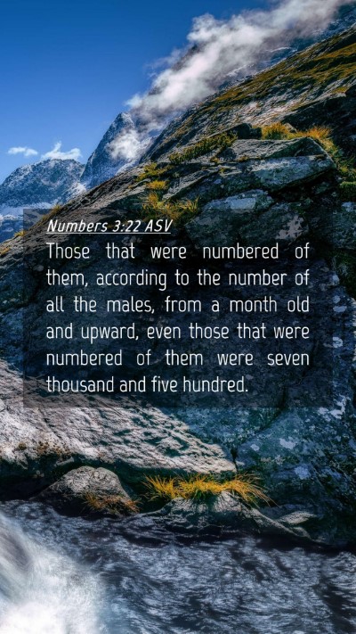 Picture 04 - Numbers 3:22 ASV Mobile Phone Wallpaper - Those that were numbered of them, according to - Mobile Bible Verse Wallpaper