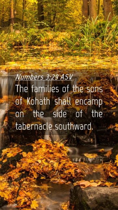 Picture 04 - Numbers 3:29 ASV Mobile Phone Wallpaper - The families of the sons of Kohath shall encamp - Mobile Bible Verse Wallpaper