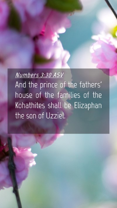Picture 04 - Numbers 3:30 ASV Mobile Phone Wallpaper - And the prince of the fathers' house of the - Mobile Bible Verse Wallpaper