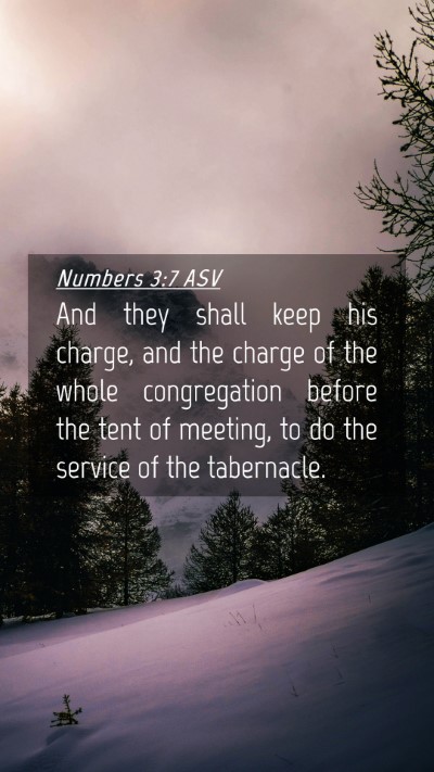 Picture 04 - Numbers 3:7 ASV Mobile Phone Wallpaper - And they shall keep his charge, and the charge of - Mobile Bible Verse Wallpaper