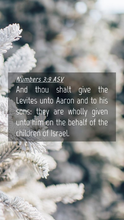 Picture 04 - Numbers 3:9 ASV Mobile Phone Wallpaper - And thou shalt give the Levites unto Aaron and to - Mobile Bible Verse Wallpaper