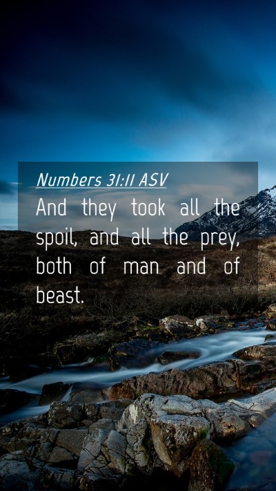 Picture 04 - Numbers 31:11 ASV Mobile Phone Wallpaper - And they took all the spoil, and all the prey, - Mobile Bible Verse Wallpaper