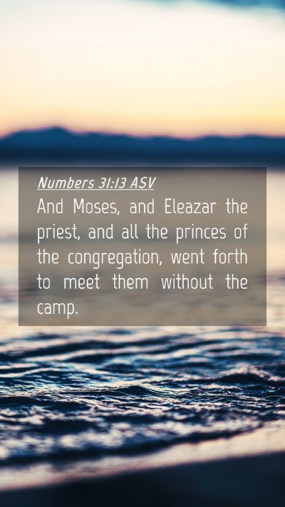 Picture 04 - Numbers 31:13 ASV Mobile Phone Wallpaper - And Moses, and Eleazar the priest, and all the - Mobile Bible Verse Wallpaper