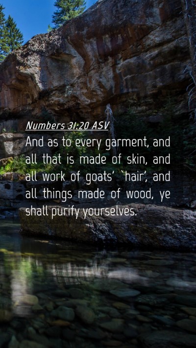 Picture 04 - Numbers 31:20 ASV Mobile Phone Wallpaper - And as to every garment, and all that is made of - Mobile Bible Verse Wallpaper