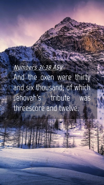 Picture 04 - Numbers 31:38 ASV Mobile Phone Wallpaper - And the oxen were thirty and six thousand; of - Mobile Bible Verse Wallpaper