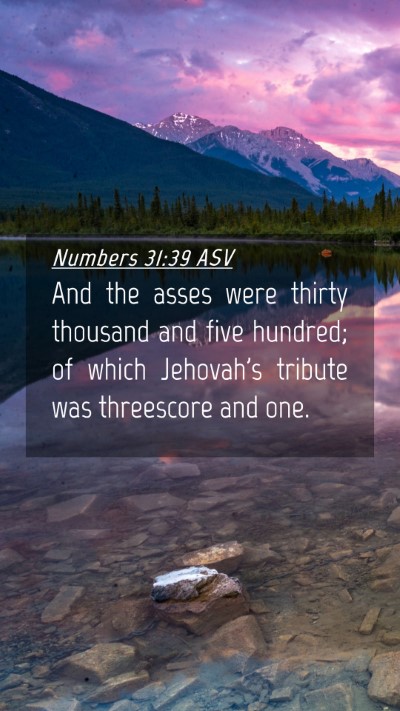 Picture 04 - Numbers 31:39 ASV Mobile Phone Wallpaper - And the asses were thirty thousand and five - Mobile Bible Verse Wallpaper
