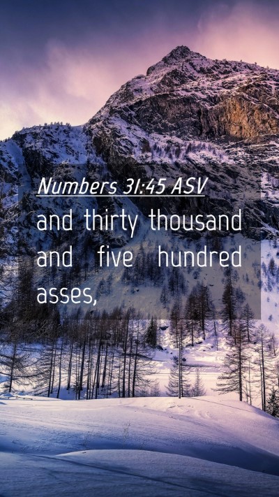 Picture 04 - Numbers 31:45 ASV Mobile Phone Wallpaper - and thirty thousand and five hundred - Mobile Bible Verse Wallpaper