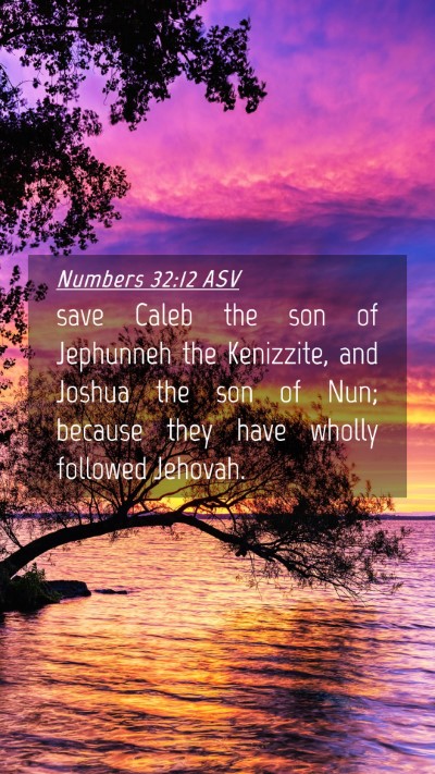 Picture 04 - Numbers 32:12 ASV Mobile Phone Wallpaper - save Caleb the son of Jephunneh the Kenizzite, - Mobile Bible Verse Wallpaper