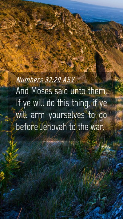 Picture 04 - Numbers 32:20 ASV Mobile Phone Wallpaper - And Moses said unto them, If ye will do this - Mobile Bible Verse Wallpaper