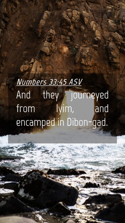 Picture 04 - Numbers 33:45 ASV Mobile Phone Wallpaper - And they journeyed from Iyim, and encamped in - Mobile Bible Verse Wallpaper