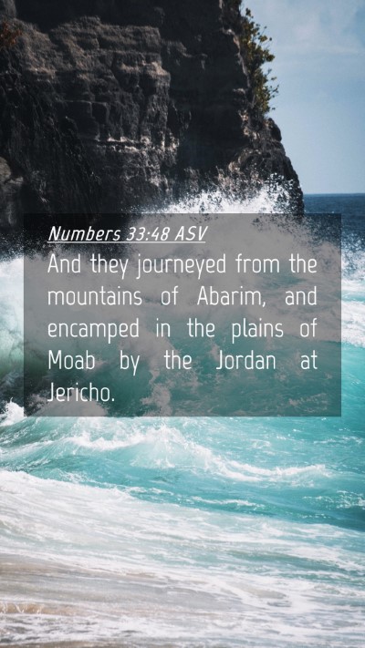 Picture 04 - Numbers 33:48 ASV Mobile Phone Wallpaper - And they journeyed from the mountains of Abarim, - Mobile Bible Verse Wallpaper