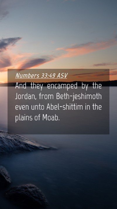 Picture 04 - Numbers 33:49 ASV Mobile Phone Wallpaper - And they encamped by the Jordan, from - Mobile Bible Verse Wallpaper