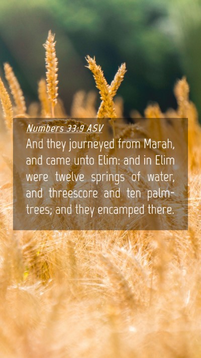 Picture 04 - Numbers 33:9 ASV Mobile Phone Wallpaper - And they journeyed from Marah, and came unto - Mobile Bible Verse Wallpaper