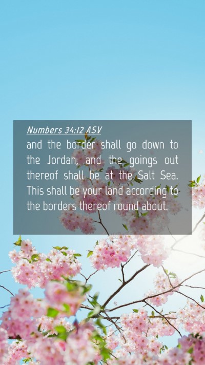 Picture 04 - Numbers 34:12 ASV Mobile Phone Wallpaper - and the border shall go down to the Jordan, and - Mobile Bible Verse Wallpaper