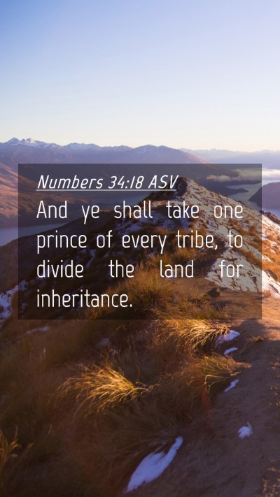 Picture 04 - Numbers 34:18 ASV Mobile Phone Wallpaper - And ye shall take one prince of every tribe, to - Mobile Bible Verse Wallpaper