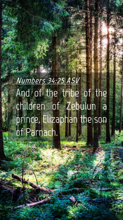 Picture 04 - Numbers 34:25 ASV Mobile Phone Wallpaper - And of the tribe of the children of Zebulun a - Mobile Bible Verse Wallpaper