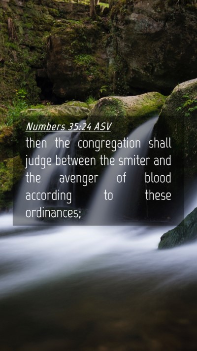 Picture 04 - Numbers 35:24 ASV Mobile Phone Wallpaper - then the congregation shall judge between the - Mobile Bible Verse Wallpaper