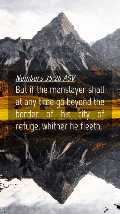 Picture 04 - Numbers 35:26 ASV Mobile Phone Wallpaper - But if the manslayer shall at any time go beyond - Mobile Bible Verse Wallpaper