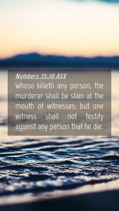 Picture 04 - Numbers 35:30 ASV Mobile Phone Wallpaper - Whoso killeth any person, the murderer shall be - Mobile Bible Verse Wallpaper