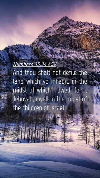 Picture 04 - Numbers 35:34 ASV Mobile Phone Wallpaper - And thou shalt not defile the land which ye - Mobile Bible Verse Wallpaper