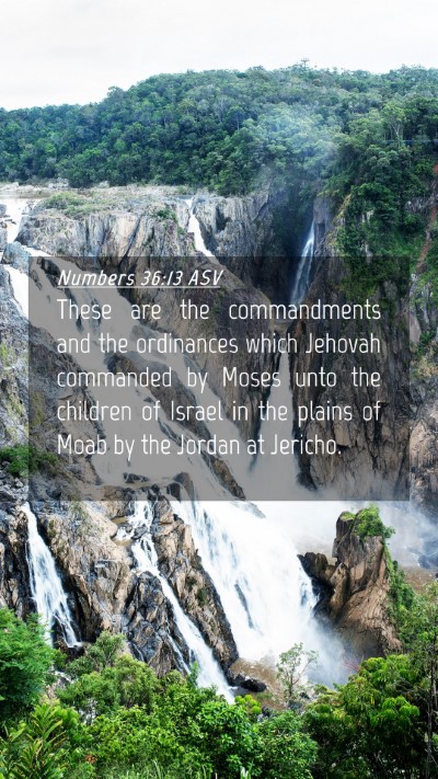 Picture 04 - Numbers 36:13 ASV Mobile Phone Wallpaper - These are the commandments and the ordinances - Mobile Bible Verse Wallpaper